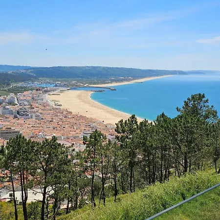 La Vague Nazaré